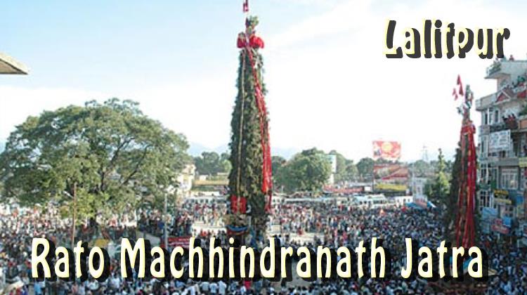 Rato Machhindranath Jatra