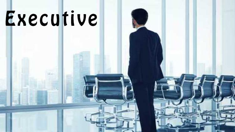 Executive-Loan and Recovery
